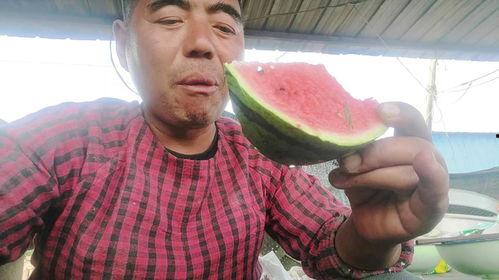 甘肃网红老头吃瓜事件,揭秘网络红人的争议瞬间 第1张 甘肃网红老头吃瓜事件,揭秘网络红人的争议瞬间 第1张